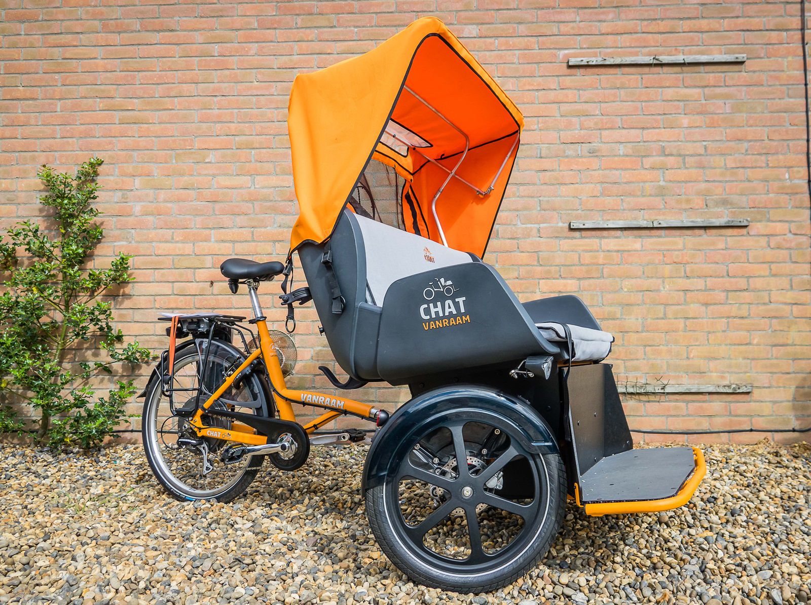 Ricky - Van Raam Chat Rickshaw